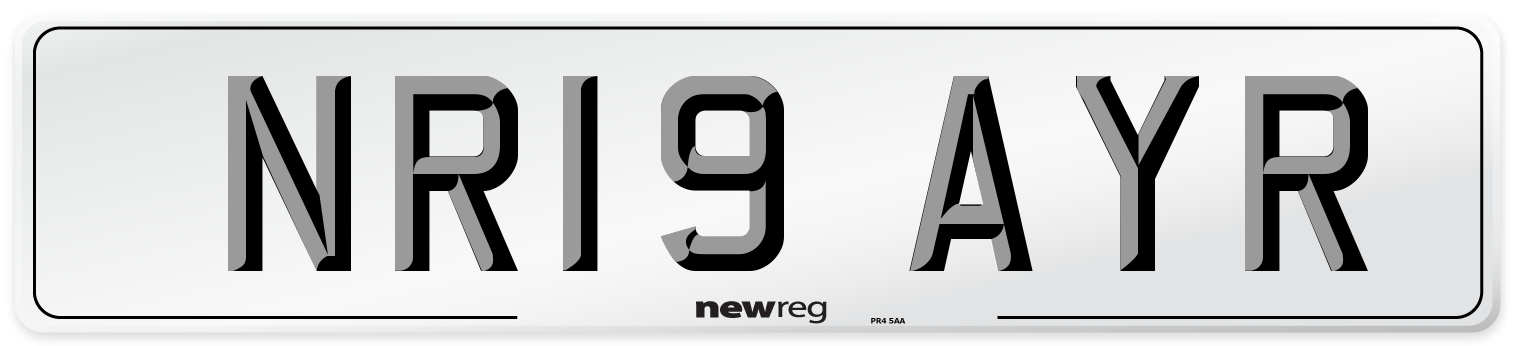 NR19 AYR Number Plate from New Reg